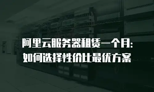 阿里云服务器租赁一个月：如何选择性价比最优方案