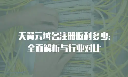天翼云域名注册返利多少：全面解析与行业对比