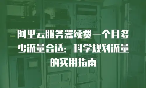阿里云服务器续费一个月多少流量合适：科学规划流量的实用指南