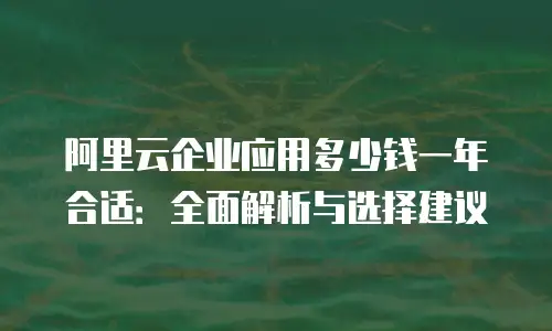 阿里云企业应用多少钱一年合适：全面解析与选择建议