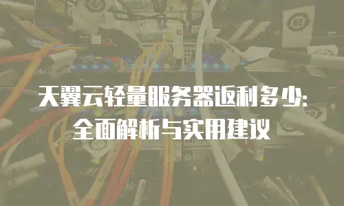 天翼云轻量服务器返利多少：全面解析与实用建议