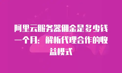 阿里云服务器佣金是多少钱一个月：解析代理合作的收益模式
