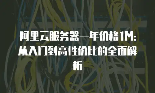 阿里云服务器一年价格1M：从入门到高性价比的全面解析