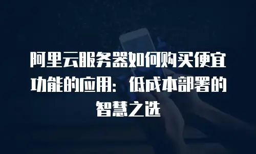 阿里云服务器如何购买便宜功能的应用：低成本部署的智慧之选