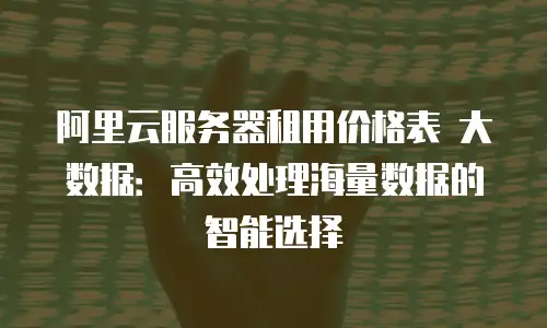 阿里云服务器租用价格表 大数据：高效处理海量数据的智能选择