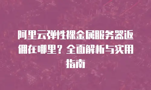 阿里云弹性裸金属服务器返佣在哪里？全面解析与实用指南
