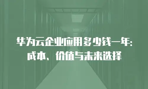华为云企业应用多少钱一年：成本、价值与未来选择