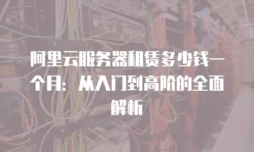 阿里云服务器租赁多少钱一个月：从入门到高阶的全面解析