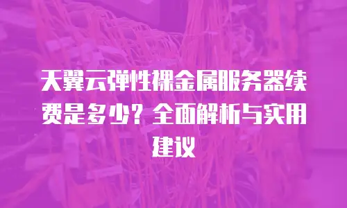 天翼云弹性裸金属服务器续费是多少？全面解析与实用建议