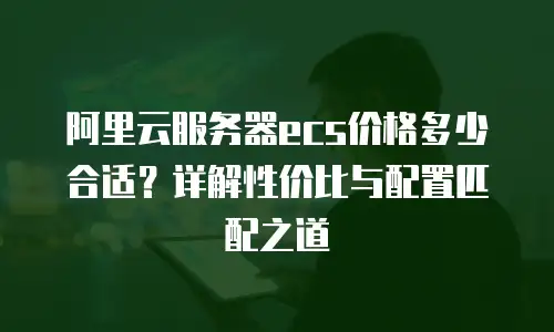 阿里云服务器ecs价格多少合适？详解性价比与配置匹配之道