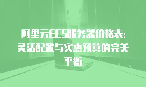 阿里云ECS服务器价格表：灵活配置与实惠预算的完美平衡