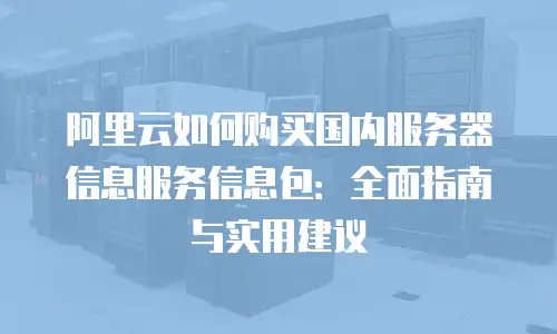 阿里云如何购买国内服务器信息服务信息包：全面指南与实用建议