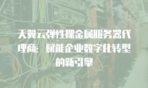 天翼云弹性裸金属服务器代理商：赋能企业数字化转型的新引擎