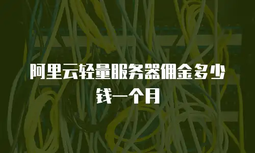 阿里云轻量服务器佣金多少钱一个月