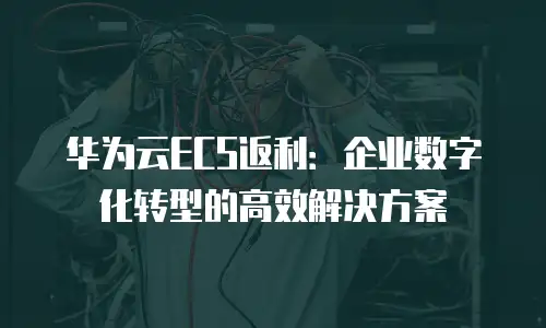华为云ECS返利：企业数字化转型的高效解决方案