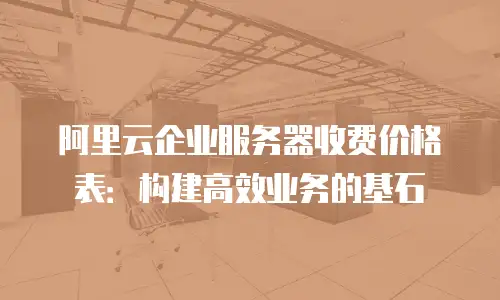 阿里云企业服务器收费价格表：构建高效业务的基石