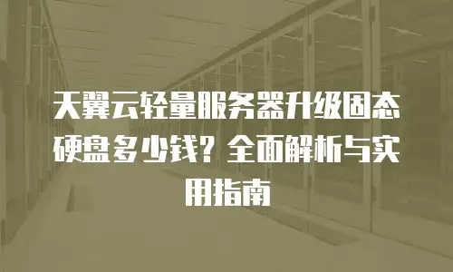 天翼云轻量服务器升级固态硬盘多少钱？全面解析与实用指南