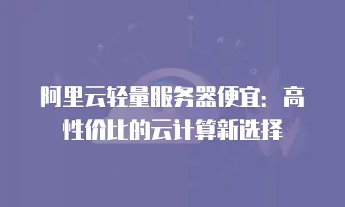 阿里云轻量服务器便宜：高性价比的云计算新选择