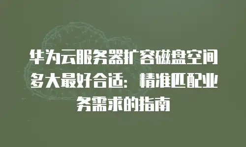 华为云服务器扩容磁盘空间多大最好合适：精准匹配业务需求的指南