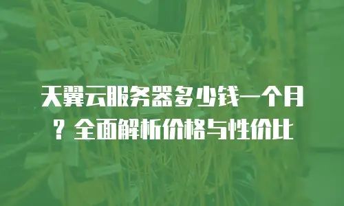 天翼云服务器多少钱一个月？全面解析价格与性价比