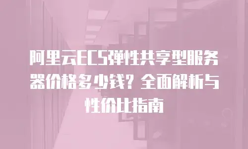 阿里云ECS弹性共享型服务器价格多少钱？全面解析与性价比指南