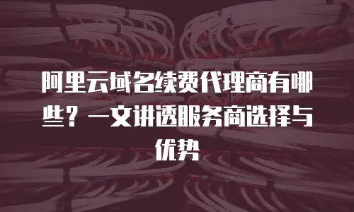阿里云域名续费代理商有哪些？一文讲透服务商选择与优势