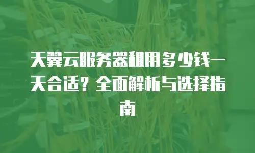 天翼云服务器租用多少钱一天合适？全面解析与选择指南