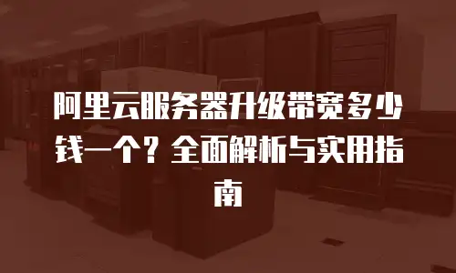 阿里云服务器升级带宽多少钱一个？全面解析与实用指南