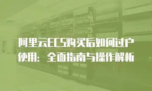阿里云ECS购买后如何过户使用：全面指南与操作解析