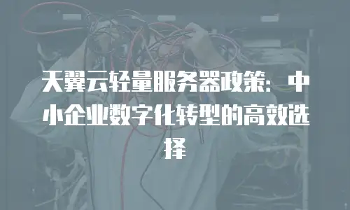 天翼云轻量服务器政策：中小企业数字化转型的高效选择
