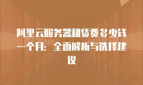 阿里云服务器租赁费多少钱一个月：全面解析与选择建议