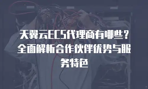 天翼云ECS代理商有哪些？全面解析合作伙伴优势与服务特色