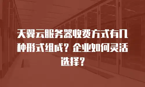 天翼云服务器收费方式有几种形式组成？企业如何灵活选择？