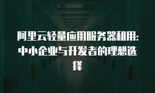 阿里云轻量应用服务器租用：中小企业与开发者的理想选择