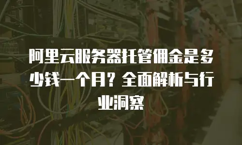 阿里云服务器托管佣金是多少钱一个月？全面解析与行业洞察