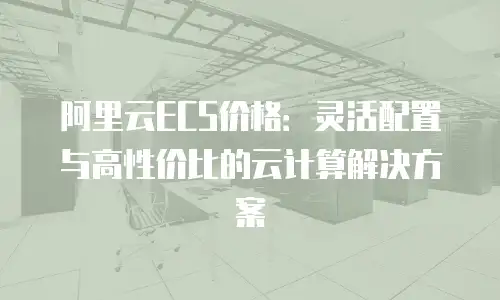 阿里云ECS价格：灵活配置与高性价比的云计算解决方案