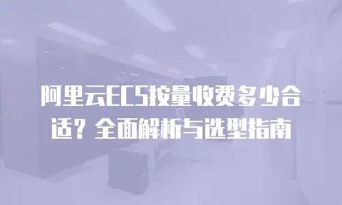 阿里云ECS按量收费多少合适？全面解析与选型指南