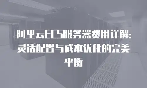 阿里云ECS服务器费用详解：灵活配置与成本优化的完美平衡