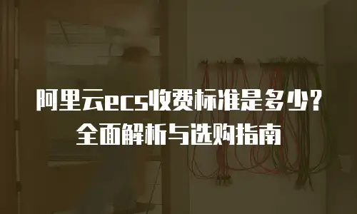 阿里云ecs收费标准是多少？全面解析与选购指南