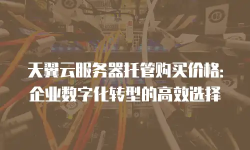 天翼云服务器托管购买价格：企业数字化转型的高效选择