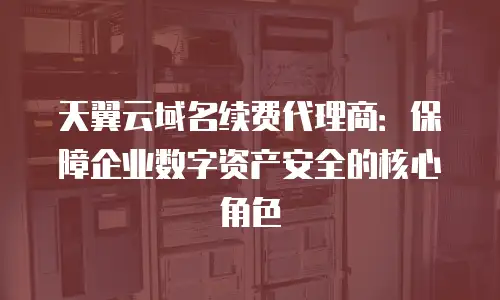 天翼云域名续费代理商：保障企业数字资产安全的核心角色