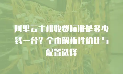 阿里云主机收费标准是多少钱一台？全面解析性价比与配置选择
