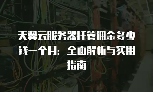 天翼云服务器托管佣金多少钱一个月：全面解析与实用指南
