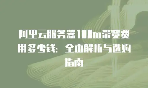 阿里云服务器100m带宽费用多少钱：全面解析与选购指南