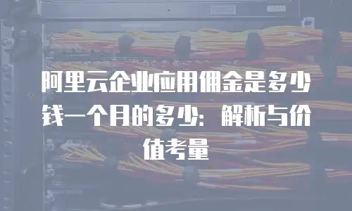 阿里云企业应用佣金是多少钱一个月的多少：解析与价值考量