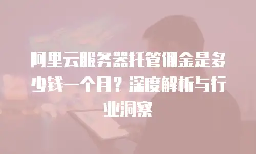 阿里云服务器托管佣金是多少钱一个月？深度解析与行业洞察