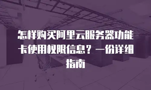 怎样购买阿里云服务器功能卡使用权限信息？一份详细指南