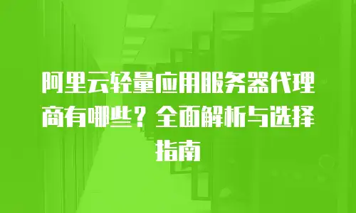阿里云轻量应用服务器代理商有哪些？全面解析与选择指南