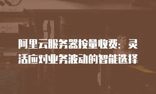 阿里云服务器按量收费：灵活应对业务波动的智能选择