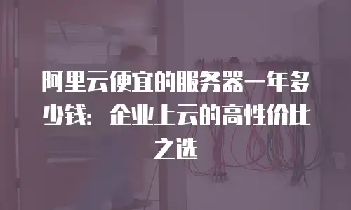 阿里云便宜的服务器一年多少钱：企业上云的高性价比之选